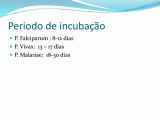 Periodo de incubação
 P. Falciparum : 8-12 dias
 P. Vivax: 13 – 17 dias
 P. Malariae: 18-30 dias
 