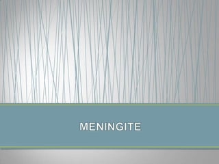 MENINGITE 