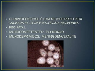 A CRIPOTOCOCOSE É UMA MICOSE PROFUNDA CAUSADA PELO CRIPTOCOCCUS NEOFORMS1950 FATALIMUNOCOMPETENTES:  PULMONARIMUNODEPRIMIDOS:  MENINGOENCEFALITE
