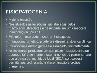 FISIOPATOGENIAMaioria inalaçãoNos alveólos as levaduras são atacadas pelos macrófagos alveolares e desencadeiam uma resposta inmunologica tipo Th1.Posteriormente podem ocorrer 3 situações:Imunocomprometido: prolifera e disemina: doença clínicaImunocompetente o germen é eliminado completamente. As levaduras produzem um complexo "nódulo pulmonar-adenopatia" e se mantém latente no tecido pulmonar  até  que a perda da imunidadelocal (SIDA, corticoides) permita sua proliferação e disseminação a orgãos diferentes.