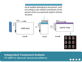 n x m n x n n x m
sMRI data spatial maps
brains
brains
components
components
space space
Independent Component Analysis
Of sMRI to discover structural patterns
set of weights belonging to one person, each
one telling us the relative contribution of the
person’s brain to a particular pattern of brain
structure
 