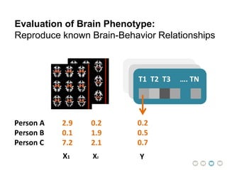 C1 C2 C3 …. CN
Evaluation of Brain Phenotype:
Reproduce known Brain-Behavior Relationships
C1 C2 C3 …. CN
T1 T2 T3 …. TN
0.2
0.5
0.7
2.9 0.2
0.1 1.9
7.2 2.1
Person A
Person B
Person C
X1 X2 Y
 
