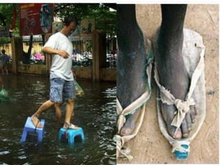 14
Giày 4.000 $
Giày
5.000 $
Giày 15.000 $
 