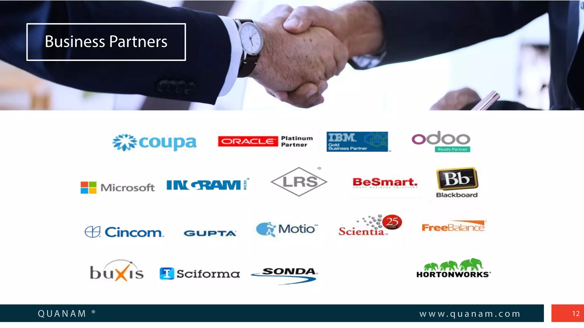 Quanam Overview 2019