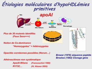 Étiologies moléculaires d’hypoHDLémies
               primitives
              Bile
                                           apoAI
                                     A-I
             CL                                      A-I
                         EC                                                 EC
                                            LCAT     FC
                                     CE                                CL
                          SCARBI                               ABCA1
                                                     HDL               Macrophage
                  Foie             HDL Mature      Naissante




Plus de 30 mutants identifiés
        (Faux Sens+++)

Notion de Co-dominance
        “Homozygotes” > hétérozygotes

Opacités cornéennes possibles (Norum…)
                                                           Brewer (1978) séquence peptide
                                                           Breslow (1982) Clonage gène
Athérosclérose non systématique
       ApoAI-Milano     (Franceschini 1980)
       R173C…           (IV, Nissen 2003)
 
