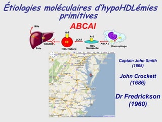 Étiologies moléculaires d’hypoHDLémies
               primitives
        Bile
                                     ABCAI
                               A-I
       CL                                      A-I
                   EC                                                 EC
                                      LCAT     FC
                               CE                                CL
                    SCARBI                               ABCA1
                                               HDL               Macrophage
            Foie             HDL Mature      Naissante




                                                                       Captain John Smith
                                                                             (1608)
                             Tangier…
                                                                       John Crockett
                                                                          (1686)

                                                                      Dr Fredrickson
                                                                          (1960)
 