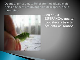 ... eu sou a
ESPERANÇA, que te
robustece a fé e te
acalenta os sonhos.
 