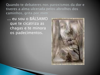 ... eu sou o BÁLSAMO
que te cicatriza as
chagas e te minora
os padecimentos.
 