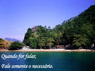 Quando for falar,  Fale somente o necessário. 