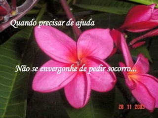 Quando precisar de ajuda Não se envergonhe de pedir socorro... 