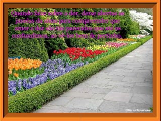 Quando falar sobre a dor, deixe abertas as janelas da alma para compreender que amor e dor são tão parecidos que até os confundimos, ao vê-los bem de pertinho.  