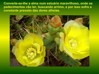 Converte-se-Ihe a alma num estuário maravilhoso, onde os padecimentos vão ter, buscando arrimo, e por isso sofre a constante pressão das dores alheias.  