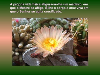 A própria vida física afigura-se-Ihe um madeiro, em que o Mestre se aflige. É-Ihe o corpo a cruz viva em que o Senhor se agita crucificado. 