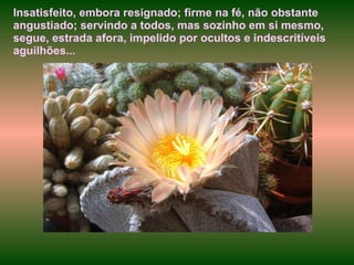 Insatisfeito, embora resignado; firme na fé, não obstante angustiado; servindo a todos, mas sozinho em si mesmo, segue, estrada afora, impelido por ocultos e indescritíveis aguilhões... 