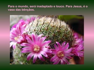 Para o mundo, será inadaptado e louco. Para Jesus, é o vaso das bênçãos. 