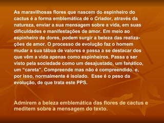 As maravilhosas flores que nascem do espinheiro do cactus é a forma emblemática de o Criador, através da  natureza, enviar a sua mensagem sobre a vida, em suas  dificuldades e manifestações de amor. Em meio ao espinheiro de dores, podem surgir a beleza das realiza-ções de amor. O processo de evolução faz o homem mudar a sua tábua de valores e passa a se destacar dos que vêm a vida apenas como espinheiros. Passa a ser visto pela sociedade como um desajustado, um fanático,  um “careta”. Compreende mas não é compreendido. e, por isso, normalmente é isolado.  Esse é o peso da evolução, de que trata este PPS.  Admirem a beleza emblemática das flores de cactus e meditem sobre a mensagem do texto.  