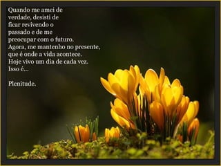 Quando me amei de  verdade, desisti de  ficar revivendo o  passado e de me  preocupar com o futuro.  Agora, me mantenho no presente,  que é onde a vida acontece. Hoje vivo um dia de cada vez.  Isso é...  Plenitude. 