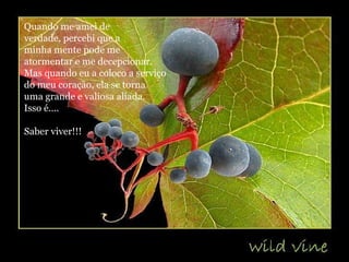 Quando me amei de  verdade, percebi que a  minha mente pode me  atormentar e me decepcionar.  Mas quando eu a coloco a serviço  do meu coração, ela se torna  uma grande e valiosa aliada. Isso é....  Saber viver!!! 