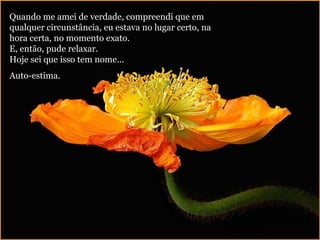 Quando me amei de verdade, compreendi que em qualquer circunstância, eu estava no lugar certo, na hora certa, no momento exato. E, então, pude relaxar. Hoje sei que isso tem nome...  Auto-estima. 