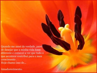 Quando me amei de verdade, parei de desejar que a minha vida fosse diferente e comecei a ver que tudo o que acontece contribui para o meu crescimento . Hoje chamo isso de...  Amadurecimento. 