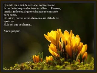 Quando me amei de verdade, comecei a me livrar de tudo que não fosse saudável ... Pessoas, tarefas, tudo e qualquer coisa que me pusesse para baixo. De início, minha razão chamou essa atitude de egoísmo. Hoje sei que se chama...  Amor-próprio. 