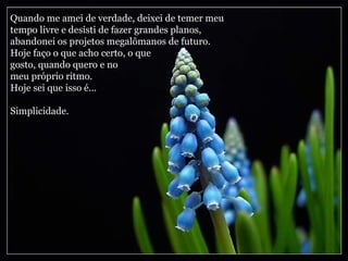 Quando me amei de verdade, deixei de temer meu tempo livre e desisti de fazer grandes planos, abandonei os projetos megalômanos de futuro. Hoje faço o que acho certo, o que  gosto, quando quero e no  meu próprio ritmo. Hoje sei que isso é...  Simplicidade. 