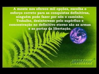 A mente nos oferece mil opções, escolha o esforço correto para as conquistas definitivas, ninguém pode fazer por nós o caminho. Trabalho, desinteresse pelo supérfluo e concentração no definitivo eterno são as armas e as portas da libertação. 