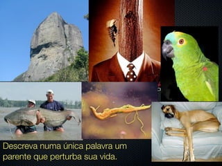 Descreva numa única palavra um
parente que perturba sua vida.
 