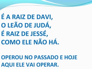 É A RAIZ DE DAVI,
O LEÃO DE JUDÁ,
É RAIZ DE JESSÉ,
COMO ELE NÃO HÁ.
OPEROU NO PASSADO E HOJE
AQUI ELE VAI OPERAR.
 