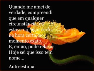 Quando me amei de verdade, compreendi que em qualquer circunstância, eu estava no lugar certo, na hora certa, no momento exato. E, então, pude relaxar. Hoje sei que isso tem nome...  Auto-estima. 