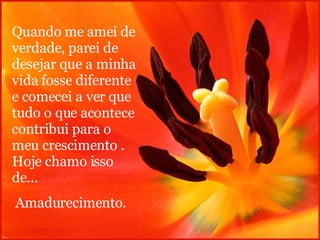 Quando me amei de verdade, parei de desejar que a minha vida fosse diferente e comecei a ver que tudo o que acontece contribui para o meu crescimento . Hoje chamo isso de... Amadurecimento. 