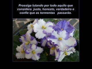 Prossiga lutando por tudo aquilo que
considera justo, honesto, verdadeiro e
  confie que as tormentas passarão.
 