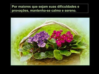 Por maiores que sejam suas dificuldades e
provações, mantenha-se calmo e sereno.
 