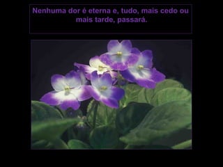 Nenhuma dor é eterna e, tudo, mais cedo ou
          mais tarde, passará.
 
