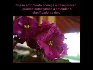 Nosso sofrimento começa a desaparecer
    quando começamos a entender o
           significado da dor.
 