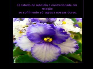 O estado de rebeldia e contrariedade em
                relação
ao sofrimento só agrava nossas dores.
 