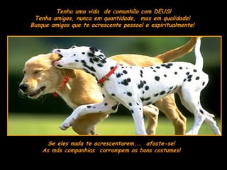 Tenha uma vida  de comunhão com DEUS! Tenha amigos, nunca em quantidade,  mas em qualidade!  Busque amigos que te acrescente pessoal e espiritualmente!  Se eles nada te acrescentarem...  afaste-se! As más companhias  corrompem os bons costumes! 