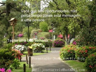 Você que tem oportunidades, não perca tempo passe esta mensagem a uma pessoa Tenha uma boa semana. Autor desconhecido Formatação José Varreis Mota E-Mail:josevarreis@hotmail.com 