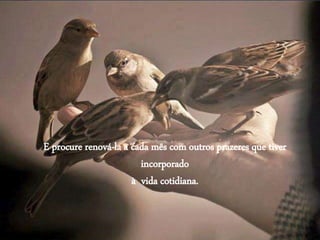 E procure renová-la a cada mês com outros prazeres que tiver
incorporado
à vida cotidiana.
 