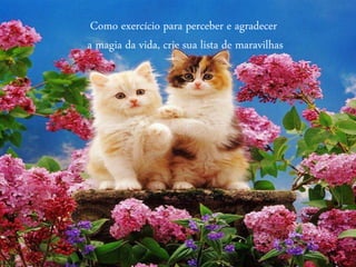 Como exercício para perceber e agradecer
a magia da vida, crie sua lista de maravilhas
 