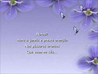 Notou?
Abra a janela e preste atenção
    Nos pássaros brancos
     Que voam no céu...
 