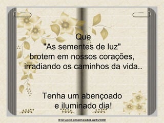Que "As sementes de luz"  brotem em nossos corações,  irradiando os caminhos da vida.. Tenha um abençoado  e iluminado dia! 