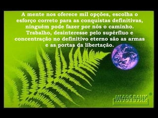 A mente nos oferece mil opções, escolha o esforço correto para as conquistas definitivas, ninguém pode fazer por nós o caminho. Trabalho, desinteresse pelo supérfluo e concentração no definitivo eterno são as armas e as portas da libertação. 