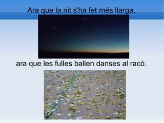 Ara que la nit s'ha fet més llarga,




ara que les fulles ballen danses al racó.
 