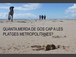QUANTA MERDA DE GOS CAP A LES
PLATGES METROPOLITANES?
 