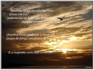 Quantas vezes aquela lágrima, teima em cair  justamente na hora que precisamos parecer fortes. Quantas vezes pedimos a Deus um pouco de força, um pouco de luz. E a resposta vem, seja como for. 