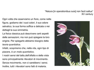 “ Natura [in operationibus suis] non facit saltus” XV century Ogni volta che osserviamo un fiore, come nella figura, godiamo dei i suoi colori, il suo odore selvatico, la sua forma soffice e delicata o nei dettagli la sua simmetria. La fisica classica può descrivere certi aspetti delle sensazioni, ma non può spiegare la loro origine. Per spiegarlo abbiamo bisogno della  teoria quantistica . Infatti, scopriremo che, nella vita, ogni tipo di piacere, è un  moto quantistico . I nostri sensi del tatto,dell'olfatto e della vista sono principalmente rilevatori di movimento. Senza movimento, non ci sarebbero i sensi. Inoltre, tutti i rilevatori sono fatti di materia. 