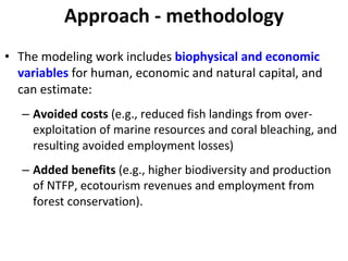 • The modeling work includes biophysical and economic 
variables for human, economic and natural capital, and 
can estimate:
– Avoided costs (e.g., reduced fish landings from over‐
exploitation of marine resources and coral bleaching, and 
resulting avoided employment losses)
– Added benefits (e.g., higher biodiversity and production 
of NTFP, ecotourism revenues and employment from 
forest conservation).
Approach ‐ methodology
 
