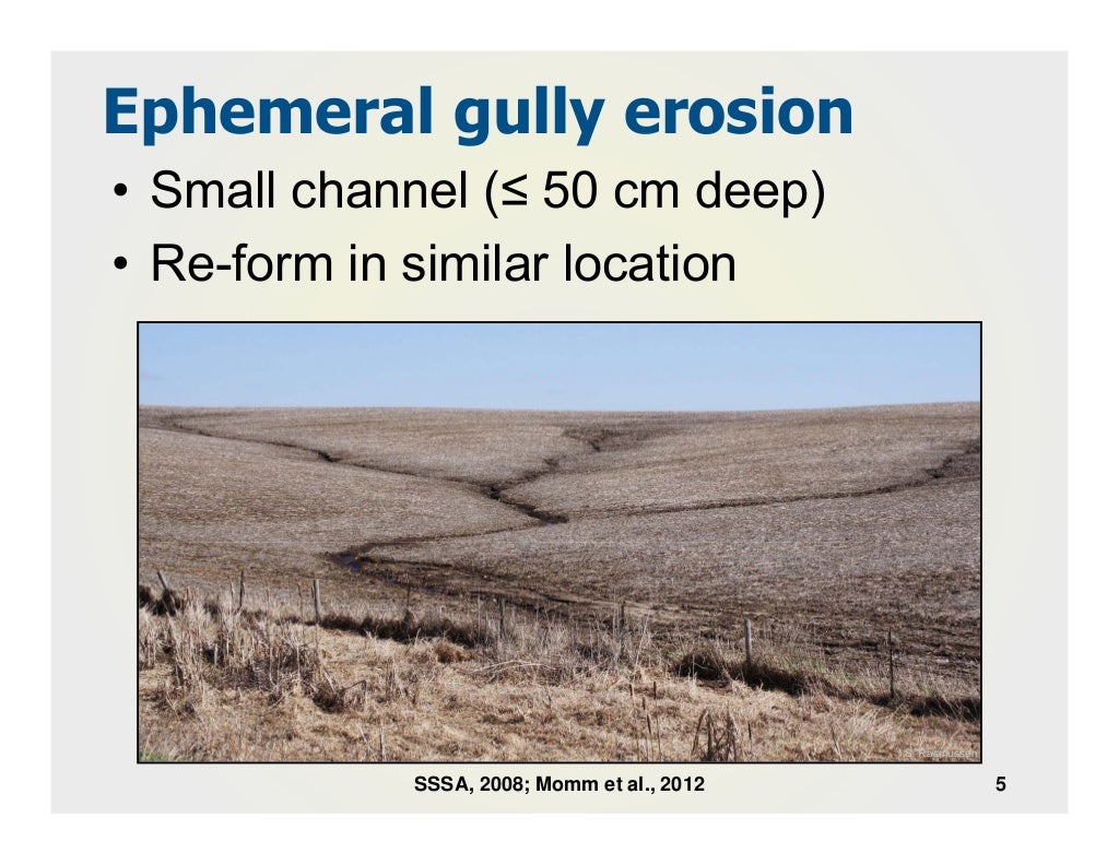 Quantification of ephemeral gully erosion