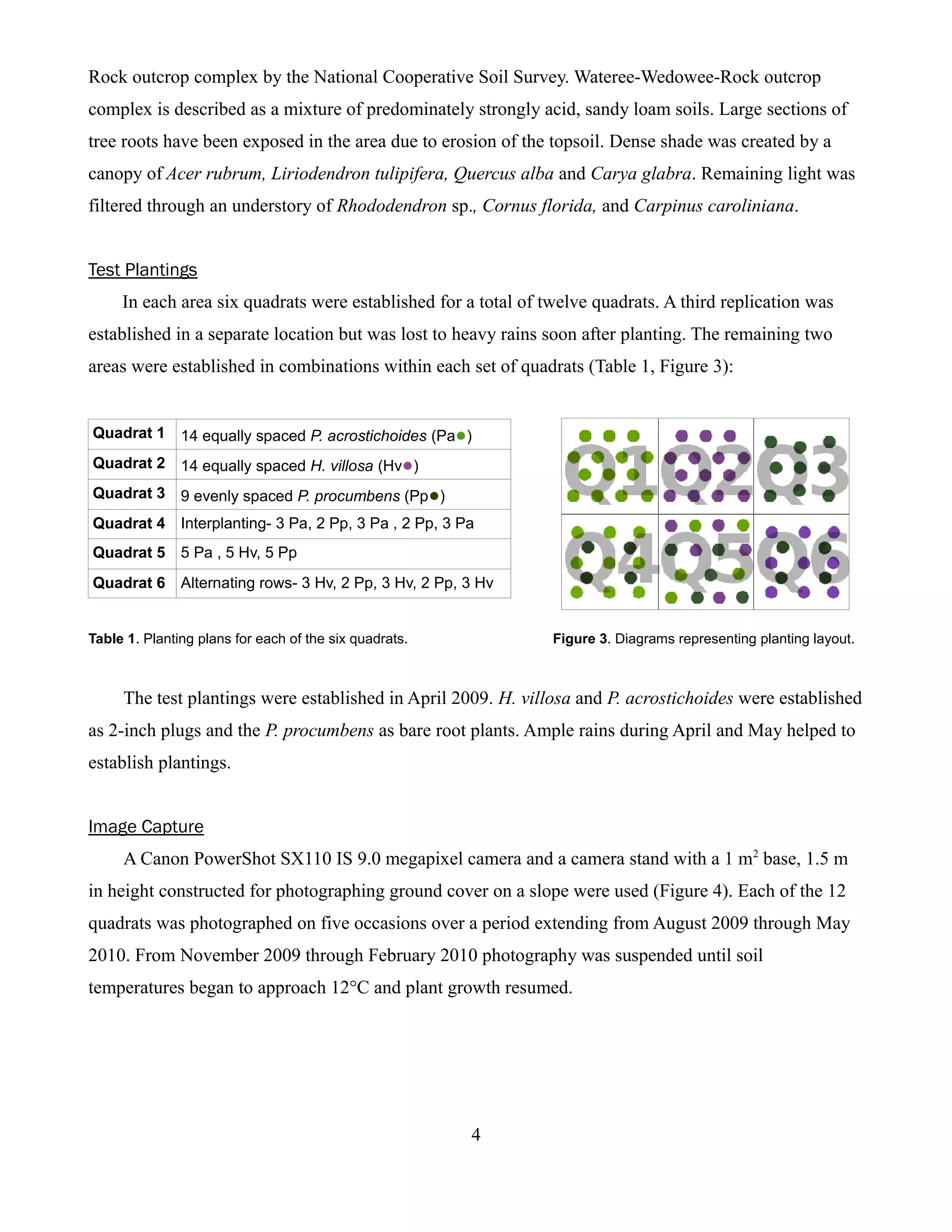 Rock outcrop complex by the National Cooperative Soil Survey. Wateree-Wedowee-Rock outcrop
complex is described as a mixture of predominately strongly acid, sandy loam soils. Large sections of
tree roots have been exposed in the area due to erosion of the topsoil. Dense shade was created by a
canopy of Acer rubrum, Liriodendron tulipifera, Quercus alba and Carya glabra. Remaining light was
filtered through an understory of Rhododendron sp., Cornus florida, and Carpinus caroliniana.


Test Plantings
     In each area six quadrats were established for a total of twelve quadrats. A third replication was
established in a separate location but was lost to heavy rains soon after planting. The remaining two
areas were established in combinations within each set of quadrats (Table 1, Figure 3):


Quadrat 1 14 equally spaced P. acrostichoides (Pa●)
Quadrat 2 14 equally spaced H. villosa (Hv●)
Quadrat 3 9 evenly spaced P. procumbens (Pp●)
Quadrat 4 Interplanting- 3 Pa, 2 Pp, 3 Pa , 2 Pp, 3 Pa
Quadrat 5 5 Pa , 5 Hv, 5 Pp
Quadrat 6 Alternating rows- 3 Hv, 2 Pp, 3 Hv, 2 Pp, 3 Hv


Table 1. Planting plans for each of the six quadrats.           Figure 3. Diagrams representing planting layout.



     The test plantings were established in April 2009. H. villosa and P. acrostichoides were established
as 2-inch plugs and the P. procumbens as bare root plants. Ample rains during April and May helped to
establish plantings.


Image Capture
     A Canon PowerShot SX110 IS 9.0 megapixel camera and a camera stand with a 1 m2 base, 1.5 m
in height constructed for photographing ground cover on a slope were used (Figure 4). Each of the 12
quadrats was photographed on five occasions over a period extending from August 2009 through May
2010. From November 2009 through February 2010 photography was suspended until soil
temperatures began to approach 12°C and plant growth resumed.




                                                        4
 